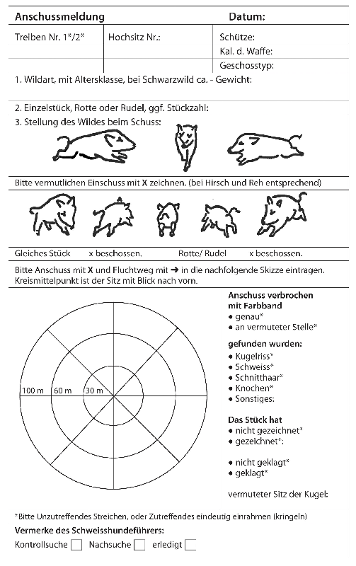 pdf-preview